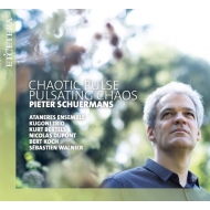塼ޥ󥹡ԡƥ1970-/Chaotic Pulse-pulsating Chaos Schuermans / Ataneres Ensemble Kugoni Trio Etc