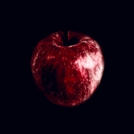 Rotten apple