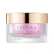 �p�[�t�F�N�g���C�X�`���[