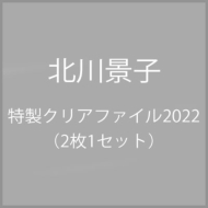 北川景子 特製クリアファイル2022（2枚1セット）