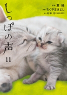 �����ۂ̐� 11 �r�b�O�R�~�b�N�I���W�i��