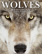 Wolves 쐶̃n^[ ẼIIJ~ʐ^W