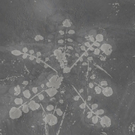 Music For Melted Floors