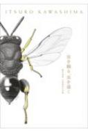 虫を観る、虫を描く 標本画家　川島逸郎の仕事