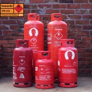 Feeling So Fun Reality