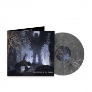 Schizophrenia/Recollections Of The Insane - Silver Marbled Vinyl