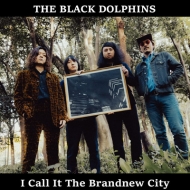 THE BLACK DOLPHINS/I Call It The Brandnew City