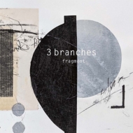 3branches/Fragment