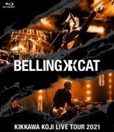 KIKKAWA KOJI LIVE TOUR 2021 BELLING CAT