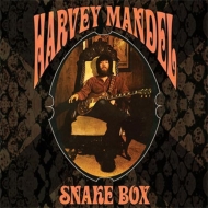 ハーヴェイ・マンデル 初期名盤＋秘蔵ライヴ音源を格納したCD６枚組ボックスセット『Snake Box』が再登場  キャンド・ヒート、ジョンメイオール＆ブルースブレイカーズでも活躍した個性派ギタリスト|ロック