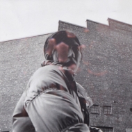 Aldous Harding/Warm Chris