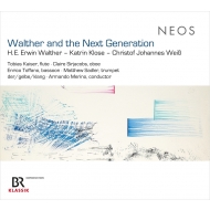 Contemporary Music Classical/Walther  The Next Generation Merino / Der / Gelbe / Klang T. kaiser(Fl