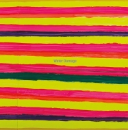 Water Damage/Repeater