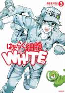 Ŵ/Ϥ餯˦white 3 ꥦkc