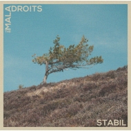 Maladroits/Stabil (White Vinyl)(Ltd)