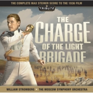 Charge Of Light Brigade