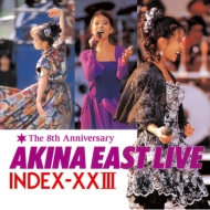 AKINA EAST LIVE INDEX-XXIII【2022 RECORD STORE DAY 限定盤】(カラーヴァイナル仕様/4枚組アナログレコード)