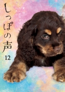 �����ۂ̐� 12 �r�b�O�R�~�b�N�I���W�i��