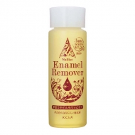 �G�i���������[�o�[ii