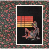 ﳬ/¢ϻδ 40ǯޥǥ (+dvd)