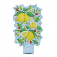 Uv�n���h�N���[�� �n�[�o���V�g���X