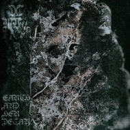 Earth And Its Decay