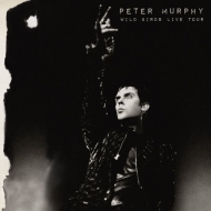 ピーターマーフィー　コンポジションCD＋VHS＋BOOK Peter Murphy (ピーターマーフィー)｜商品一覧｜HMV&BOOKS