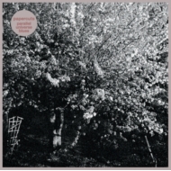 Parallel Universe Blues