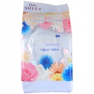 �A�N�A�A�X�^�[ �t���O�����X �N�[���V�[�g