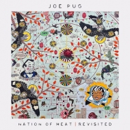 Joe Pug/Nation Of Heat / Revisited (10inch)