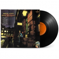 Rise And Fall Of Ziggy Stardust And The Spiders From Mars (Half Speed Master)(50周年記念/アナログレコード)