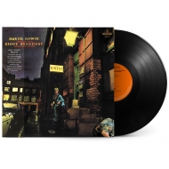 Rise And Fall Of Ziggy Stardust And The Spiders From Mars (Half Speed Master)(50th Anniversary / Analog Vinyl)