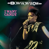 Bow Wow Wow/I Want Candy - Pink / Black Stripe