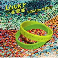 ĸ/Lucky / ̿