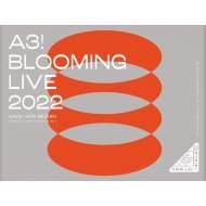 A3! BLOOMING LIVE 2022 DAY2 DVD