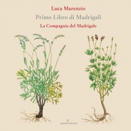 マレンツィオ、ルカ（1553-1599）/Madrigals Book 1 ： La Compagnia Del Madrigale