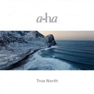 a-ha/True North (Ltd)
