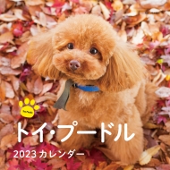 2023�N�J�����_�[ �g�C�E�v�[�h�� �������V���ЃJ�����_�[