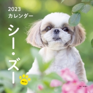 2023�N�J�����_�[ �V�[�E�Y�[ �������V���ЃJ�����_�[