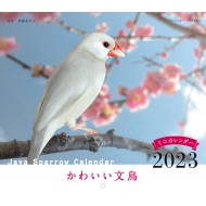 伊藤美代子/2023年カレンダー かわいい文鳥 誠文堂新光社カレンダー
