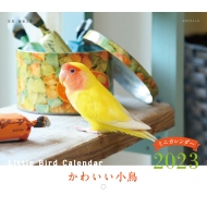 蜂巣文香/2023年カレンダー かわいい小鳥 誠文堂新光社カレンダー