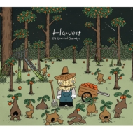 04 Limited Sazabys/Harvest (A)(+dvd)(Ltd)
