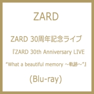 ZARD 30NLOCu wZARD 30th Anniversary LIVE gWhat a beautiful memory `OՁ`hx(Blu-ray)