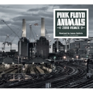 Animals (2018 Remix)fbNXGfBV (AiOR[h{CD{DVDI[fBI{u[CI[fBI)