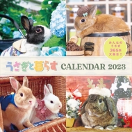 ƕ炷calendar 2023 ()
