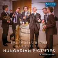 *brass＆wind Ensemble* Classical/Salaputia Brass： Hungarian Pictures