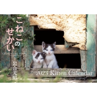 岩合光昭/こねこのせかい 2023 Kitten Calendar (S17)