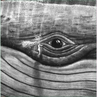 While I Sit And Watch This Tree Volume 2