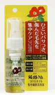 ֖ coLIC WCet