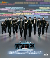 Original Cast (Musical)/ミュージカル 青春-aoharu-鉄道 誰が為にのぞみは走る (+cd)(Ltd)